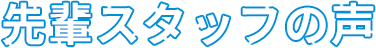 先輩スタッフの声